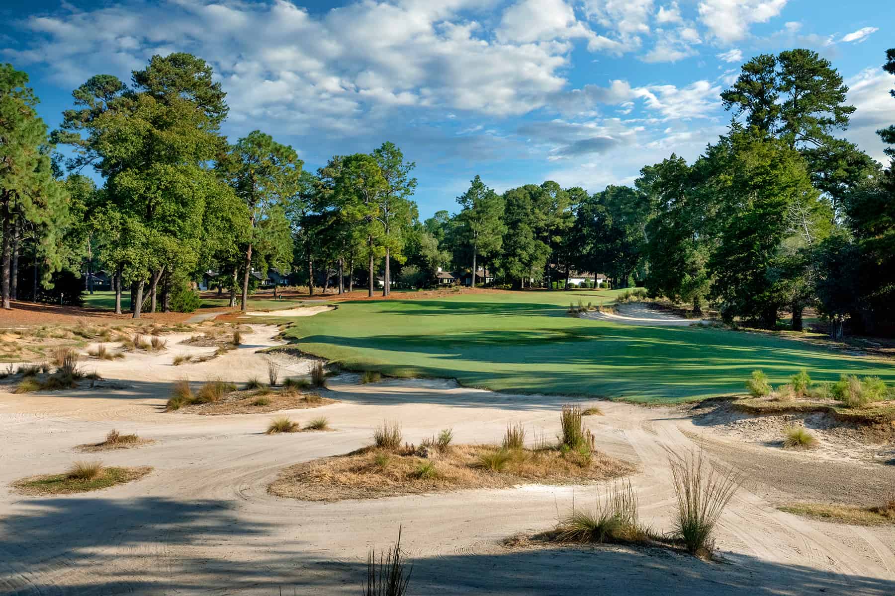 新品 タグ付きPINE HURST パインハースト ゴルフ S Courses | Pinehurst No 3 | pinehurst.com