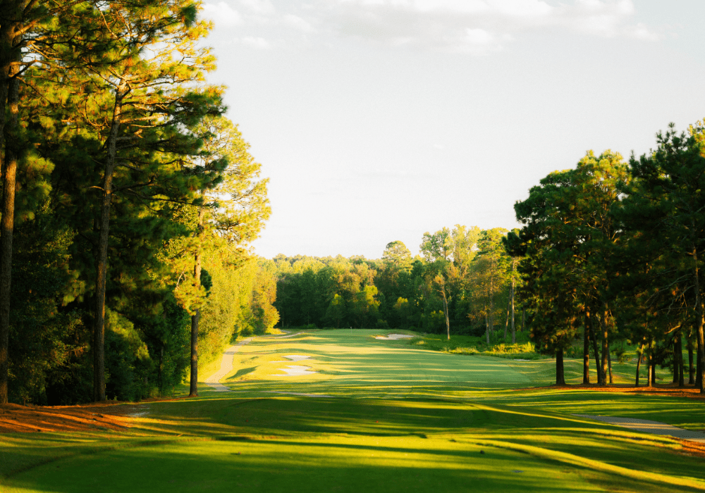 pinehurst and tobacco road package Offers | Pinehurst Golf Packages